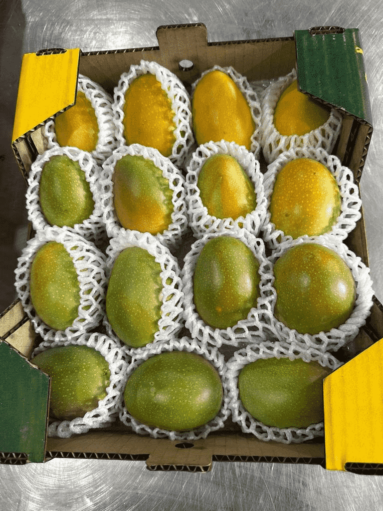 images/1685605798570Pakistán, Mango,.png